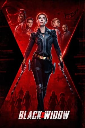 Karadul – Black Widow izle