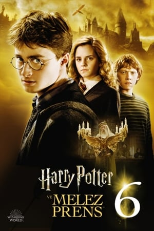 Harry Potter ve Melez Prens izle
