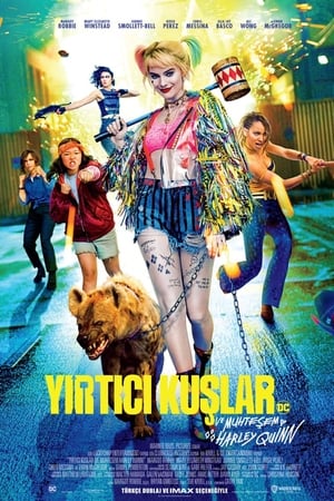 Yırtıcı Kuşlar Ve Muhteşem Harley Quinn izle