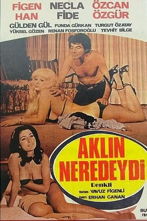 Aklın Neredeydi izle